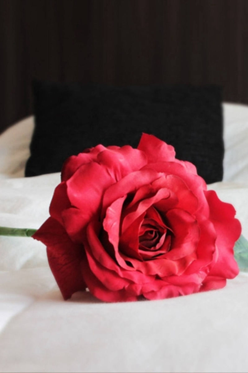 Hotel Boutique Devoto