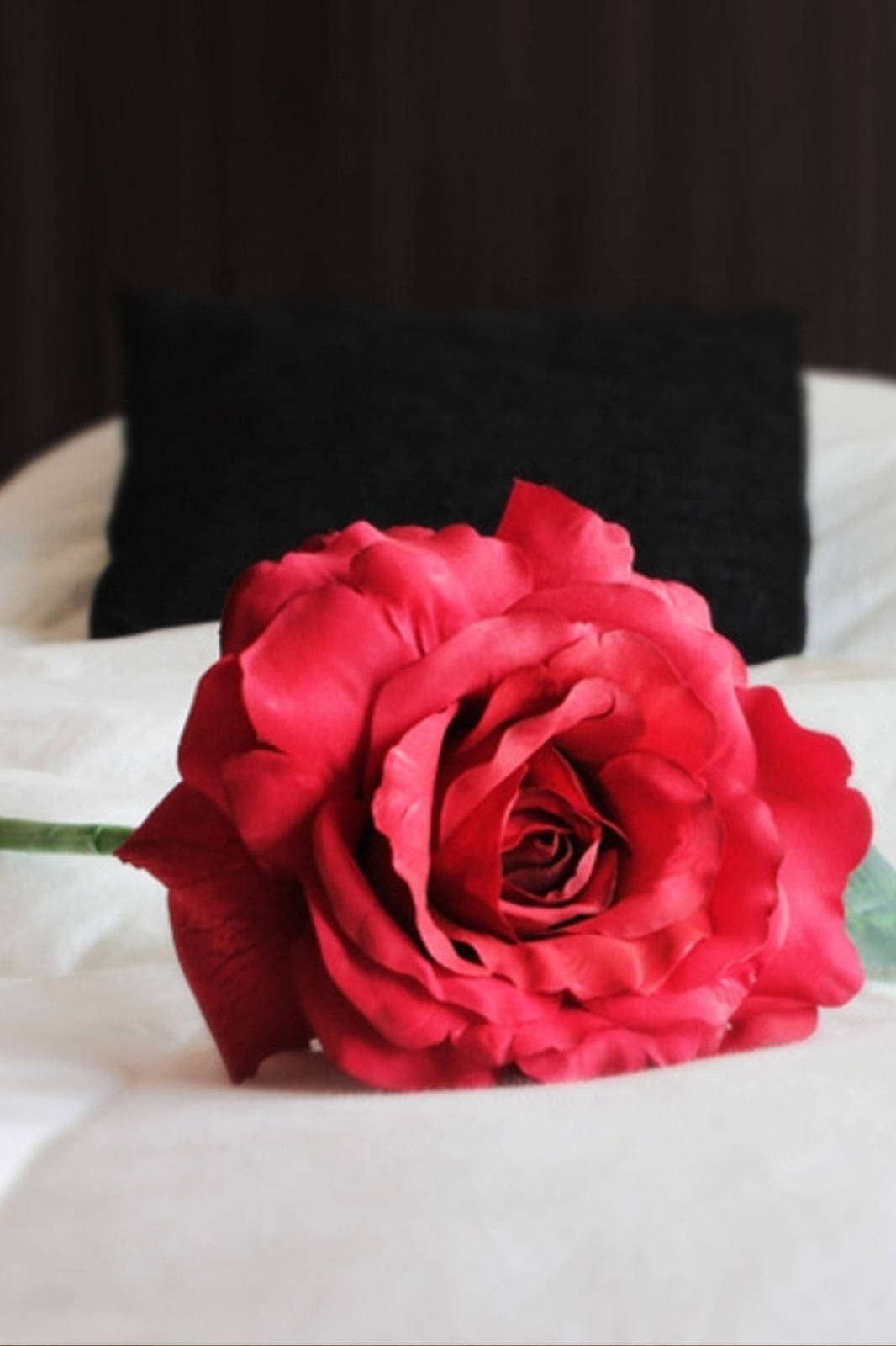 Hotel Boutique Devoto