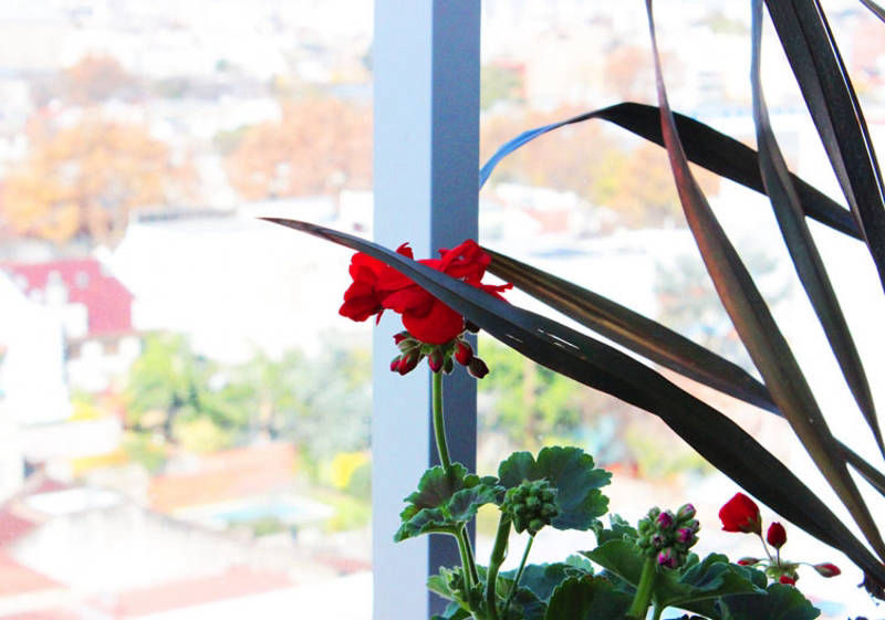 Hotel Boutique Devoto