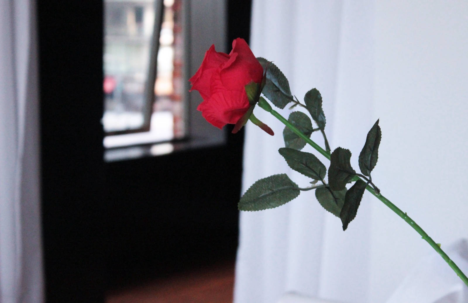 Hotel Boutique Devoto